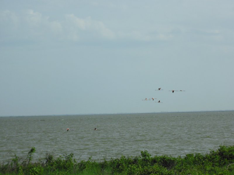 Image CIMG4514.JPG
