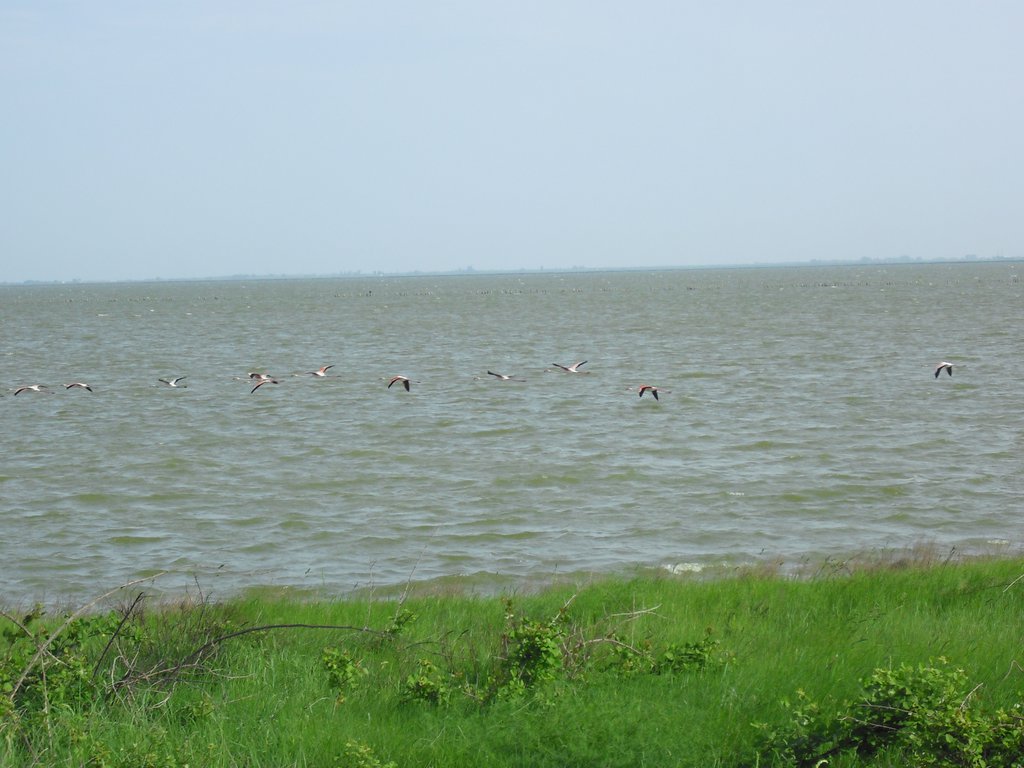 Image CIMG4516.JPG