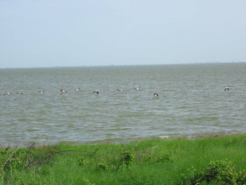 Image CIMG4516.JPG