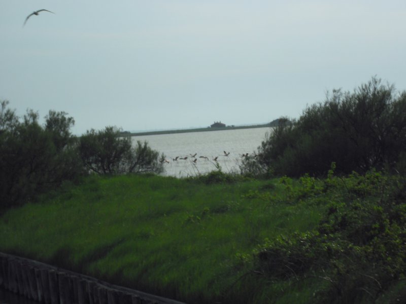 Image CIMG4517.JPG