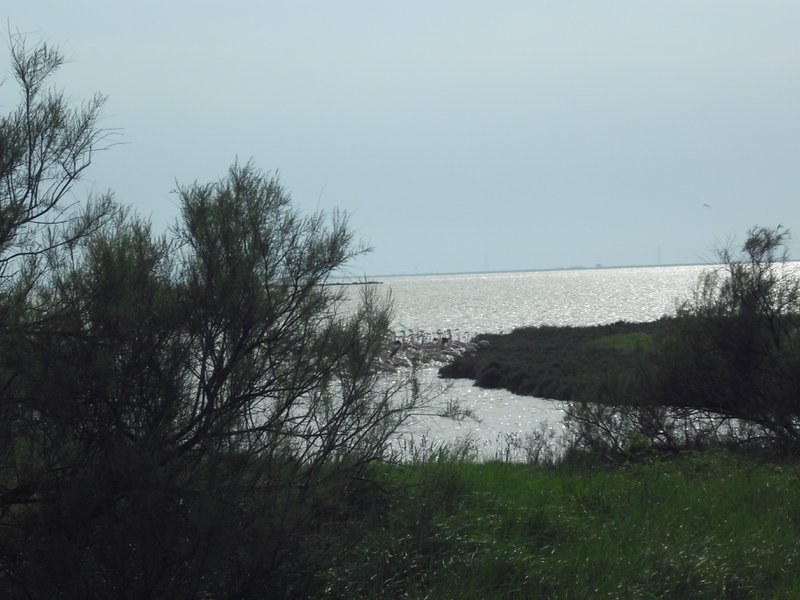 Image CIMG4518.JPG