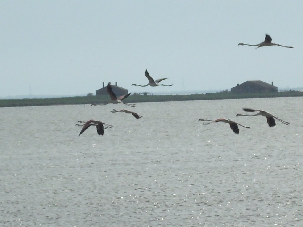 Image CIMG4522.JPG