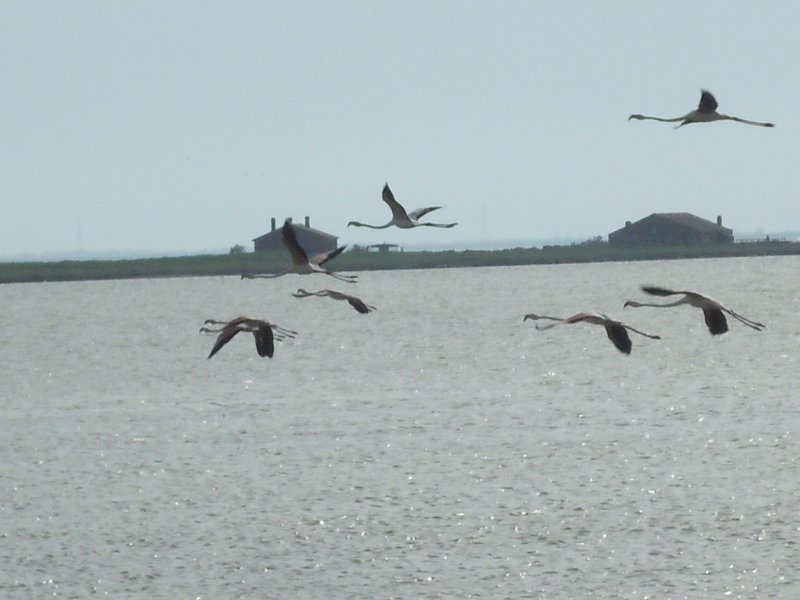 Image CIMG4522.JPG