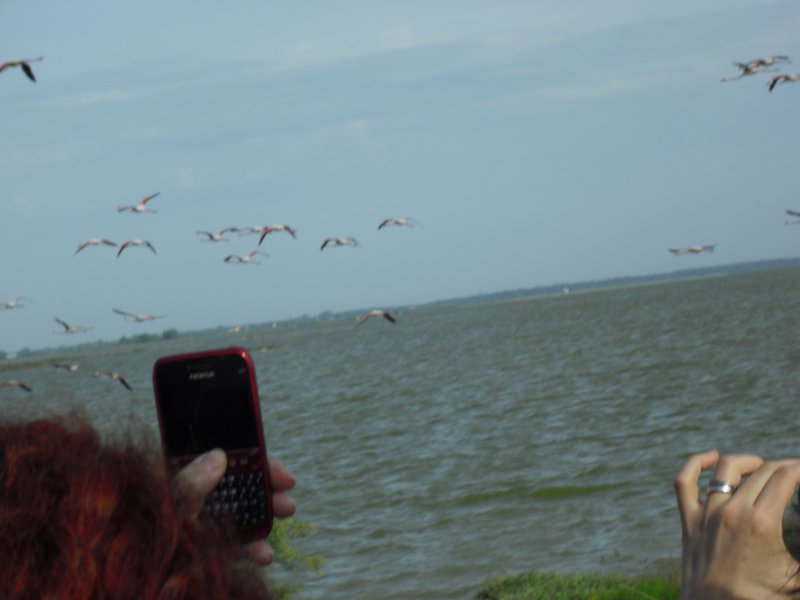 Image CIMG4524.JPG