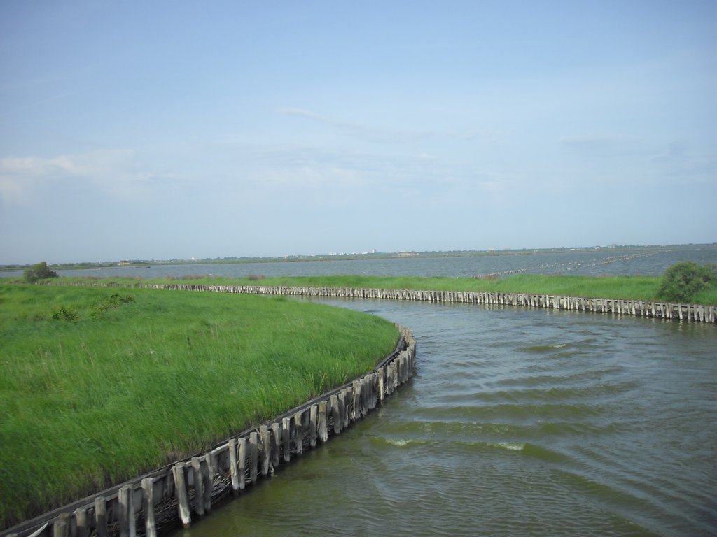 Image CIMG4526.JPG