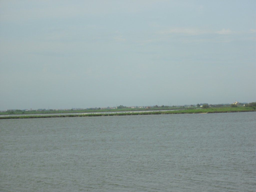 Image CIMG4527.JPG
