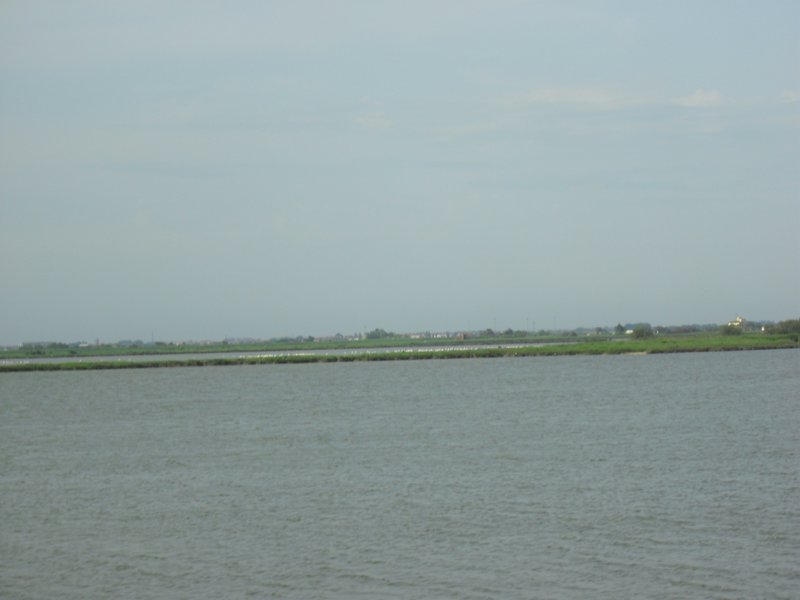 Image CIMG4527.JPG
