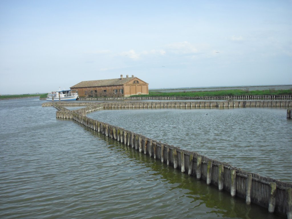 Image CIMG4530.JPG