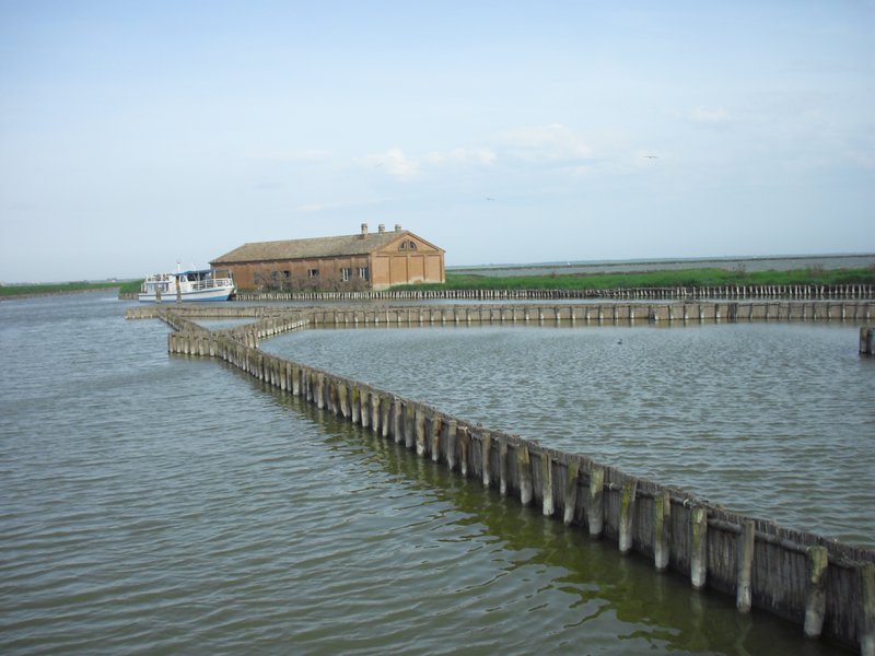 Image CIMG4530.JPG