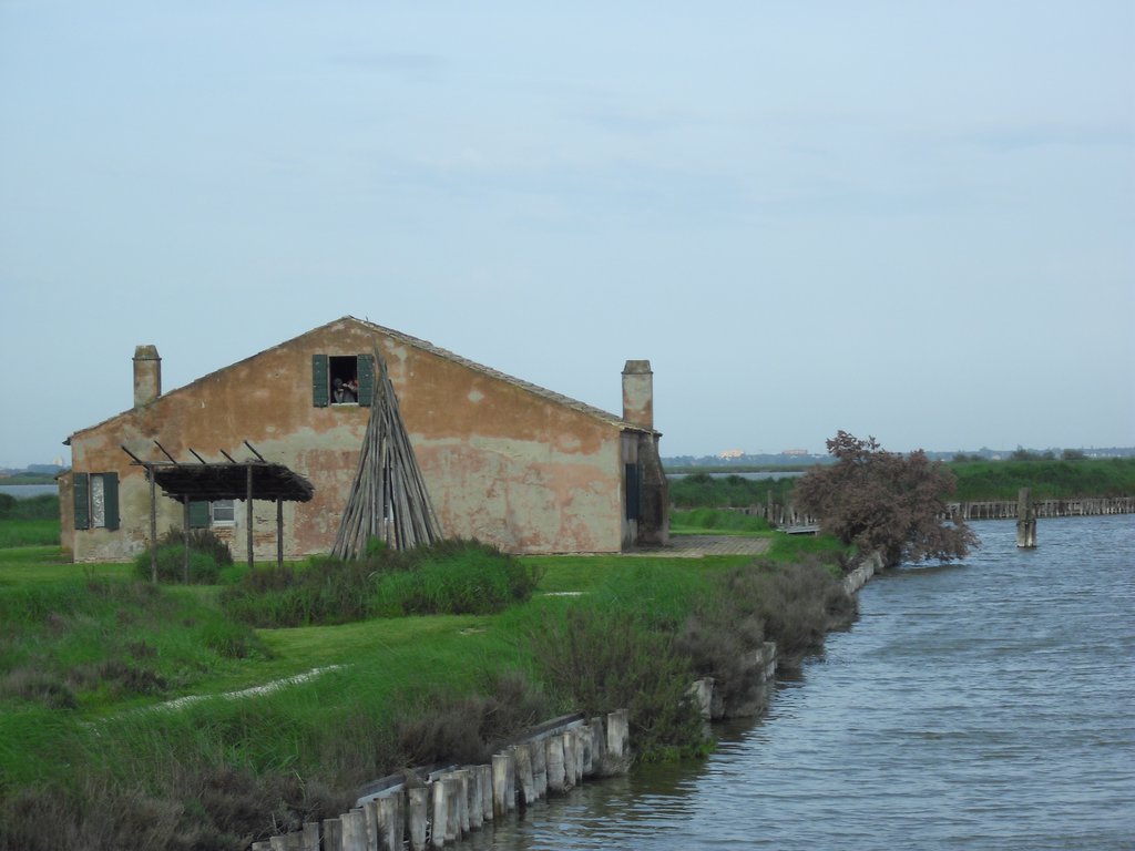 Image CIMG4533.JPG
