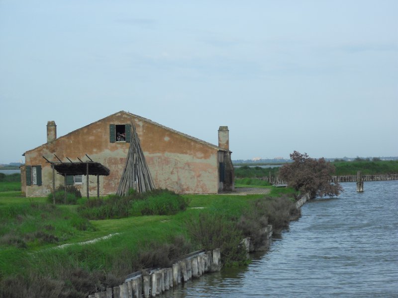 Image CIMG4533.JPG