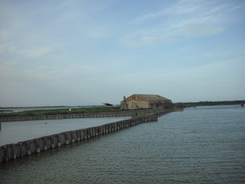 Image CIMG4535.JPG