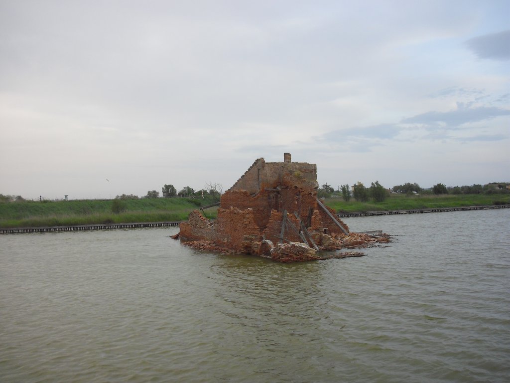 Image CIMG4537.JPG