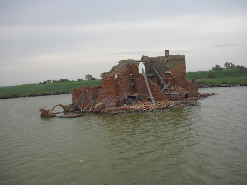 Image CIMG4538.JPG