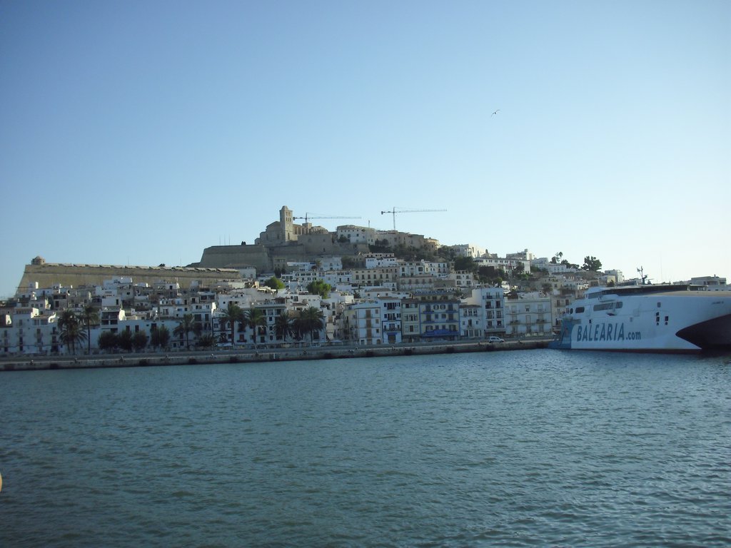 Image cimg0176.jpg
