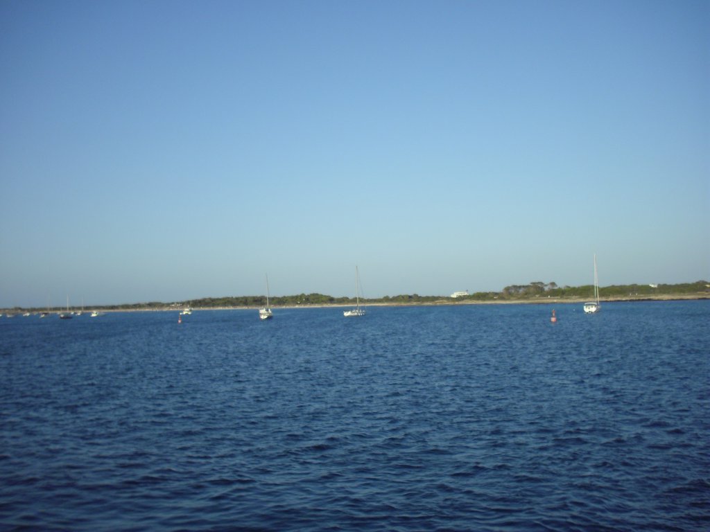 Image cimg0183.jpg