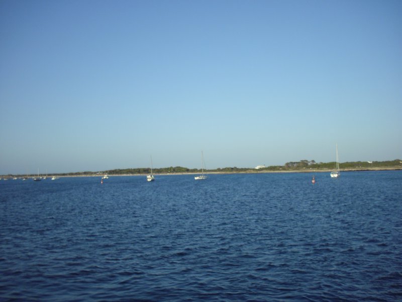 Image cimg0183.jpg