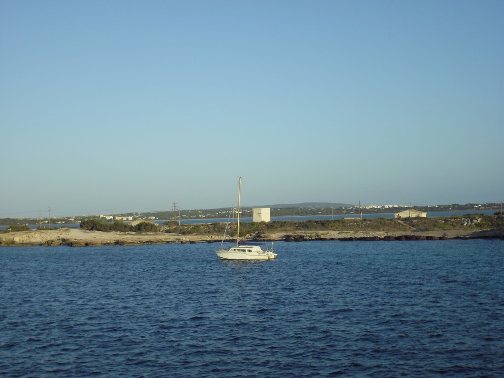 Image cimg0184.jpg