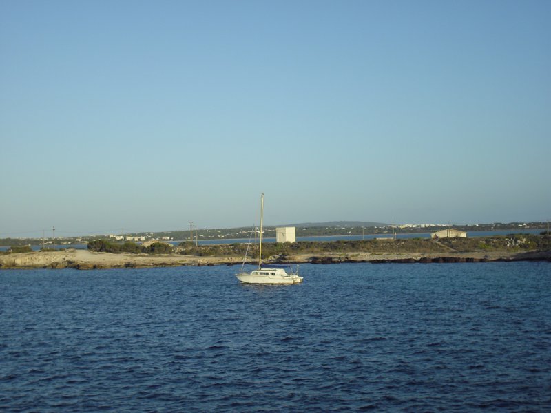 Image cimg0184.jpg