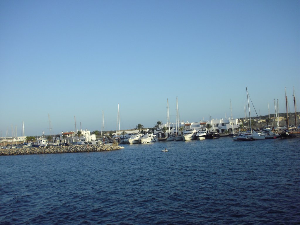 Image cimg0186.jpg