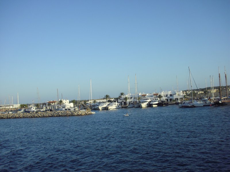 Image cimg0186.jpg