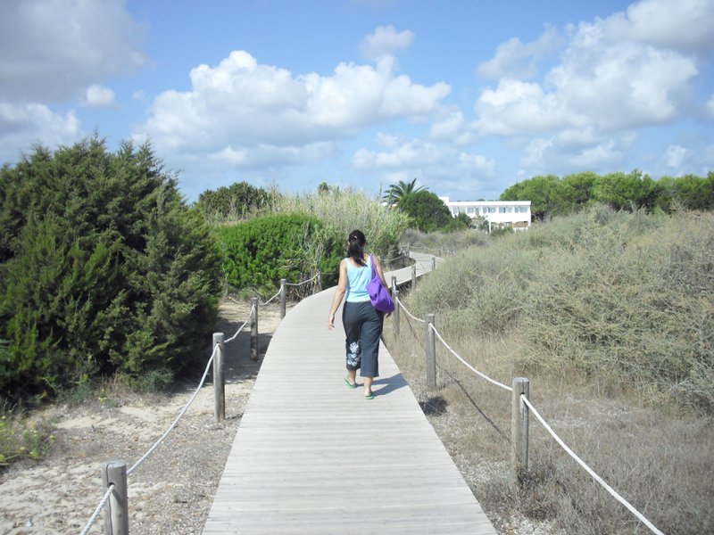 Image cimg0190.jpg