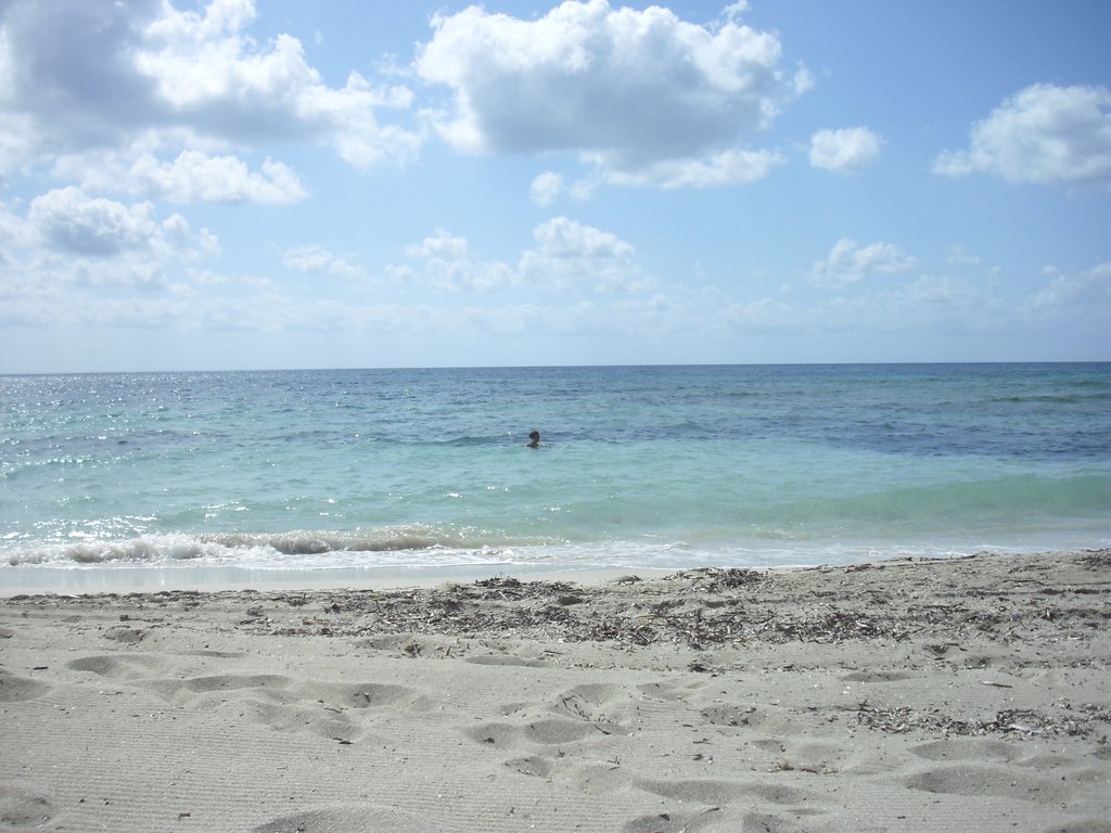 Image cimg0192.jpg