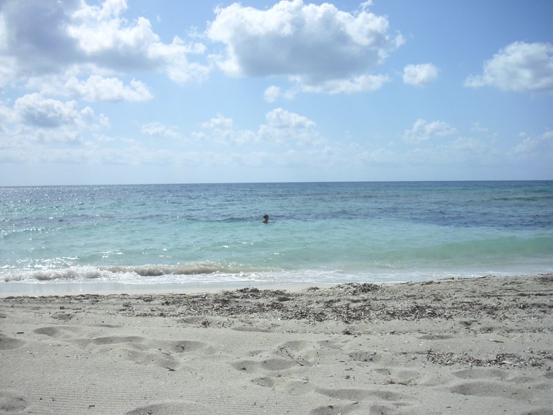 Image cimg0192.jpg