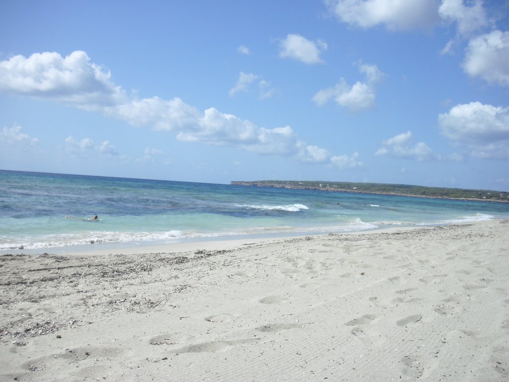 Image cimg0193.jpg