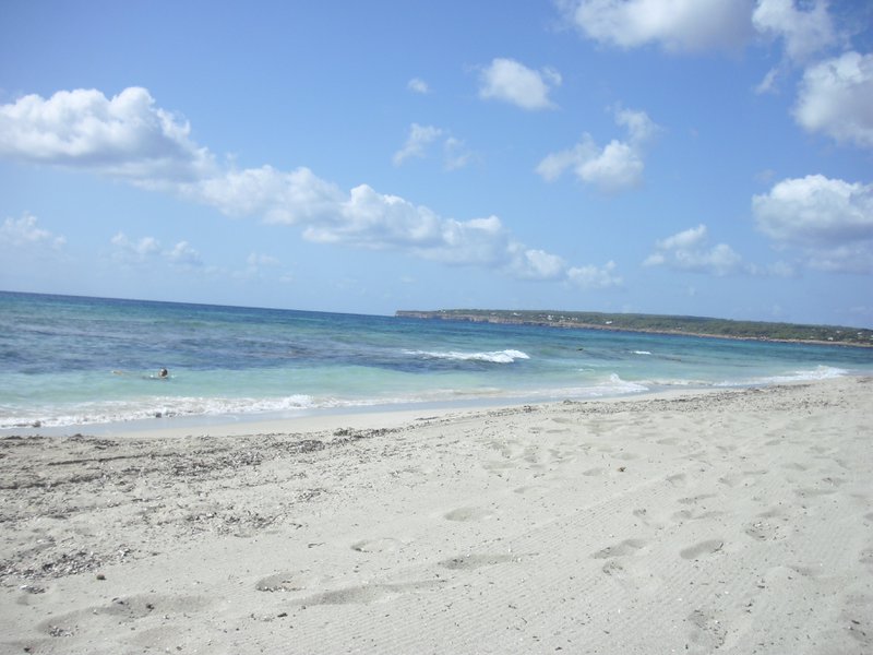 Image cimg0193.jpg