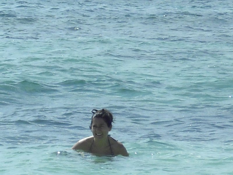 Image cimg0195.jpg