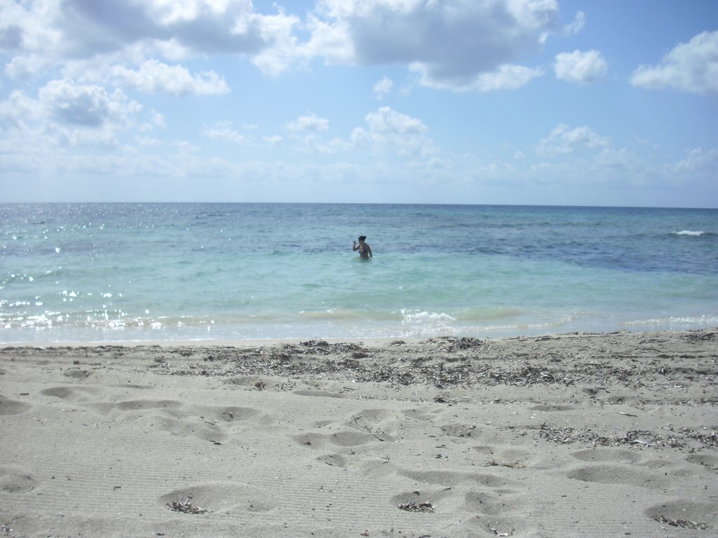 Image cimg0196.jpg