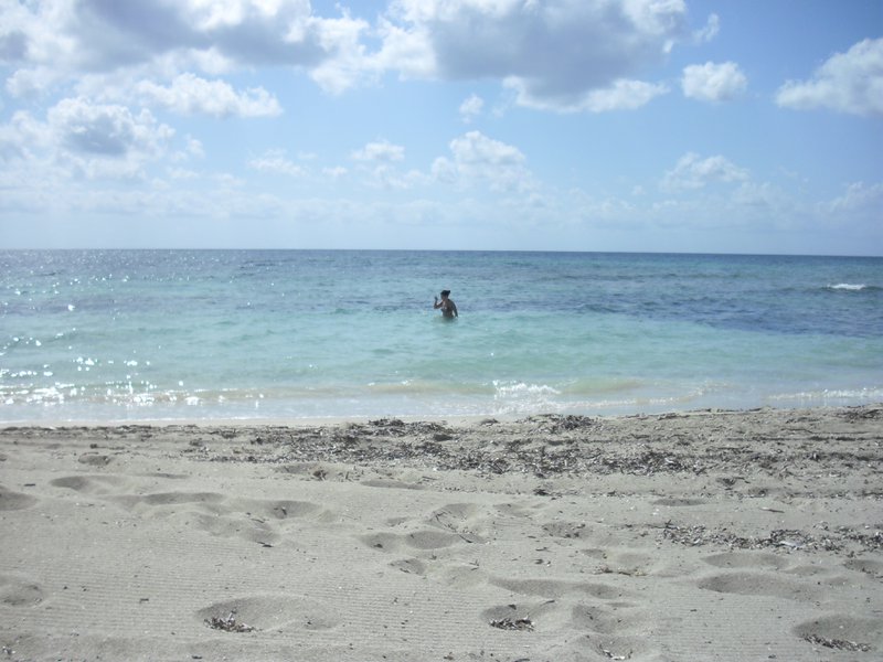 Image cimg0196.jpg