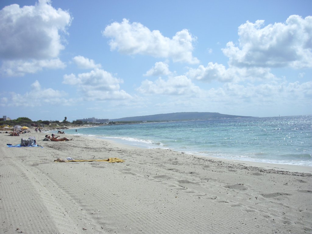 Image cimg0197.jpg
