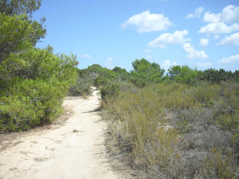 Image cimg0199.jpg
