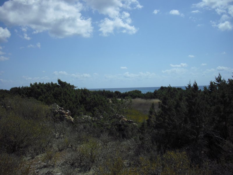 Image cimg0200.jpg
