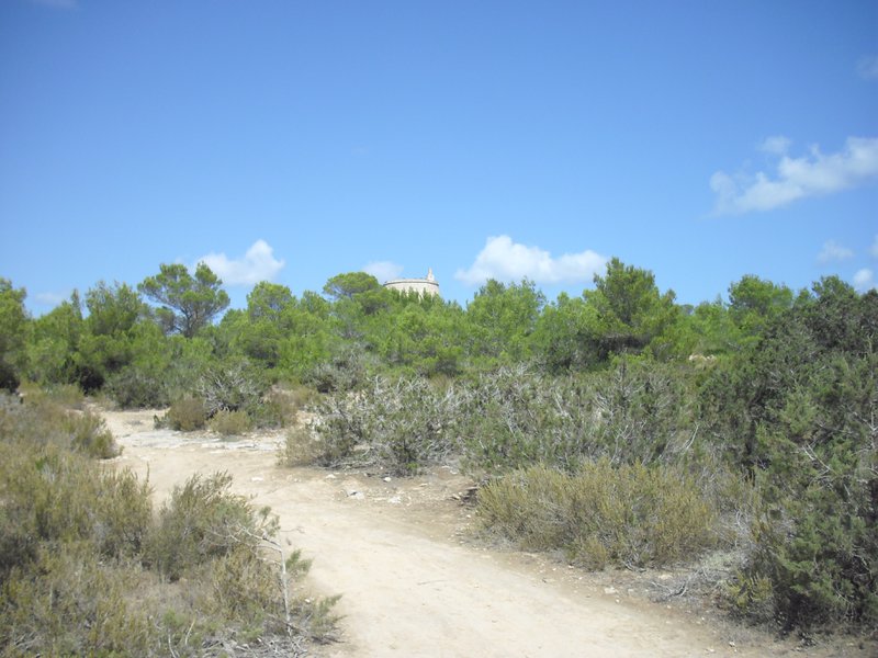 Image cimg0201.jpg