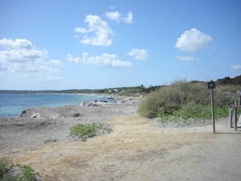 Image cimg0205.jpg