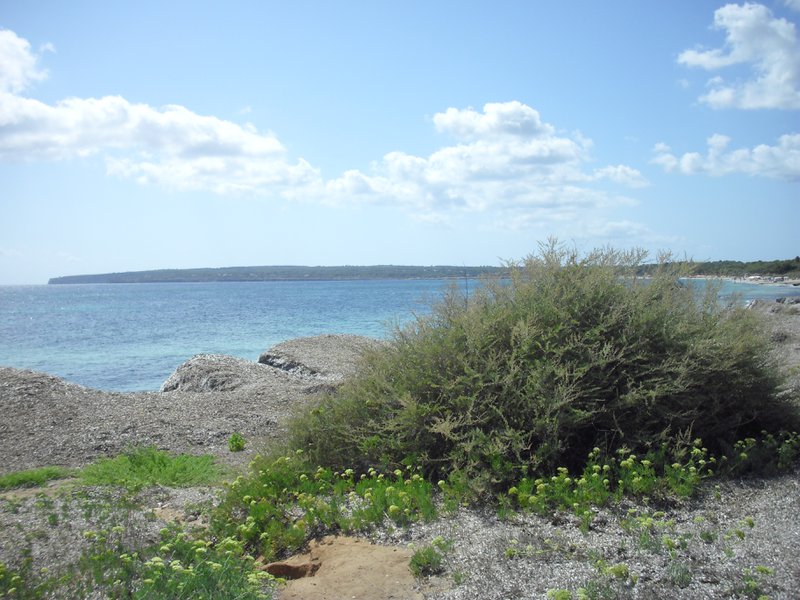 Image cimg0206.jpg