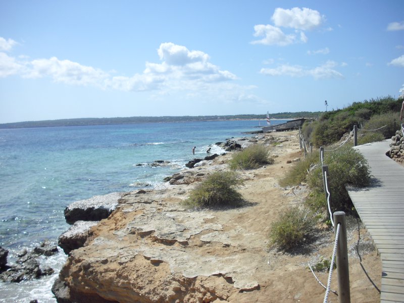 Image cimg0208.jpg