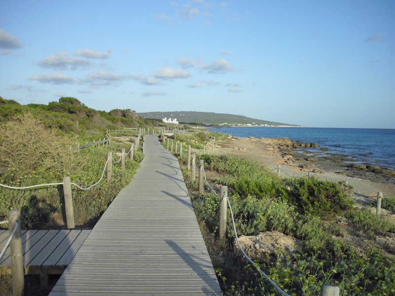 Image cimg0209.jpg