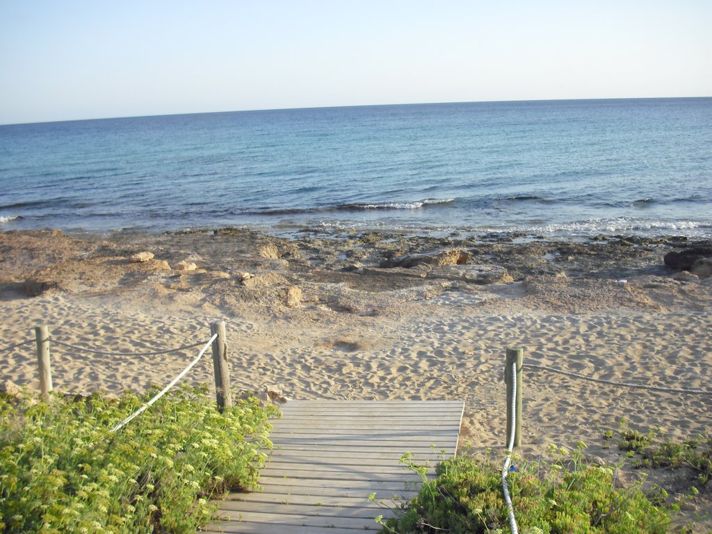Image cimg0210.jpg
