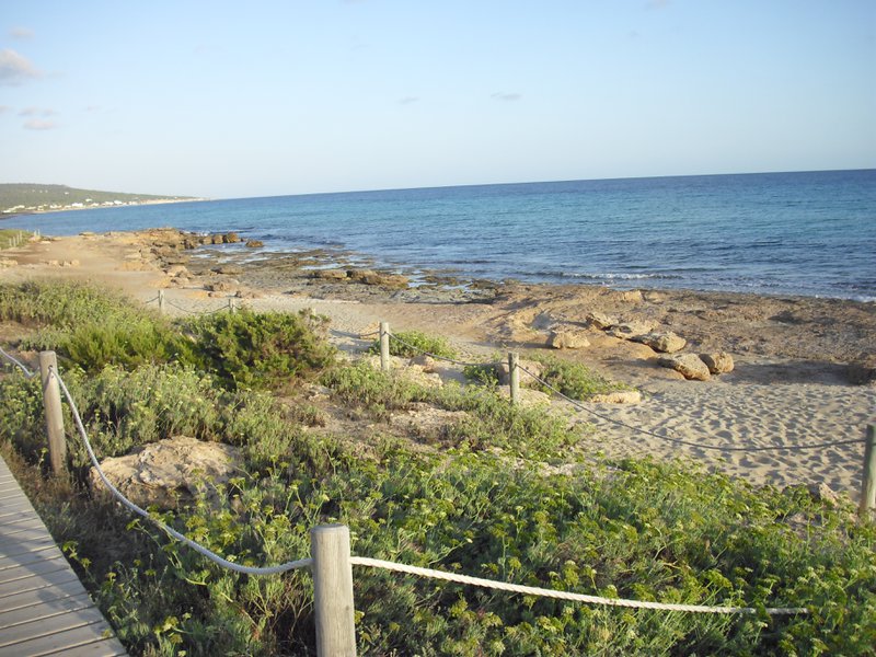 Image cimg0211.jpg