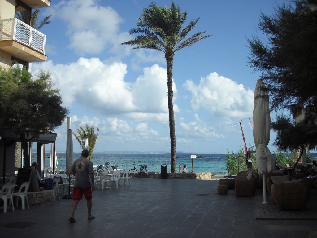 Image cimg0213.jpg