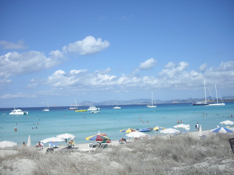 Image cimg0215.jpg
