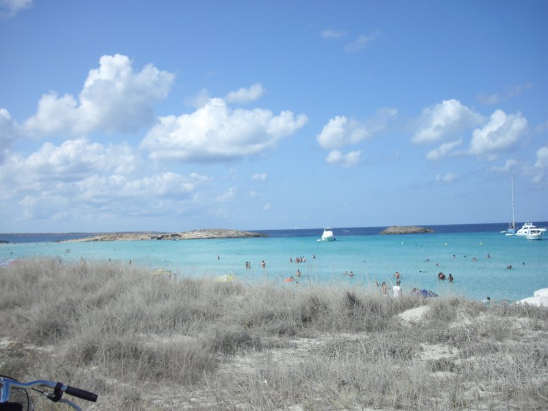Image cimg0216.jpg