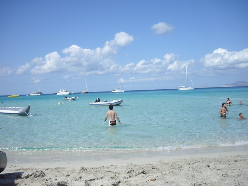 Image cimg0217.jpg