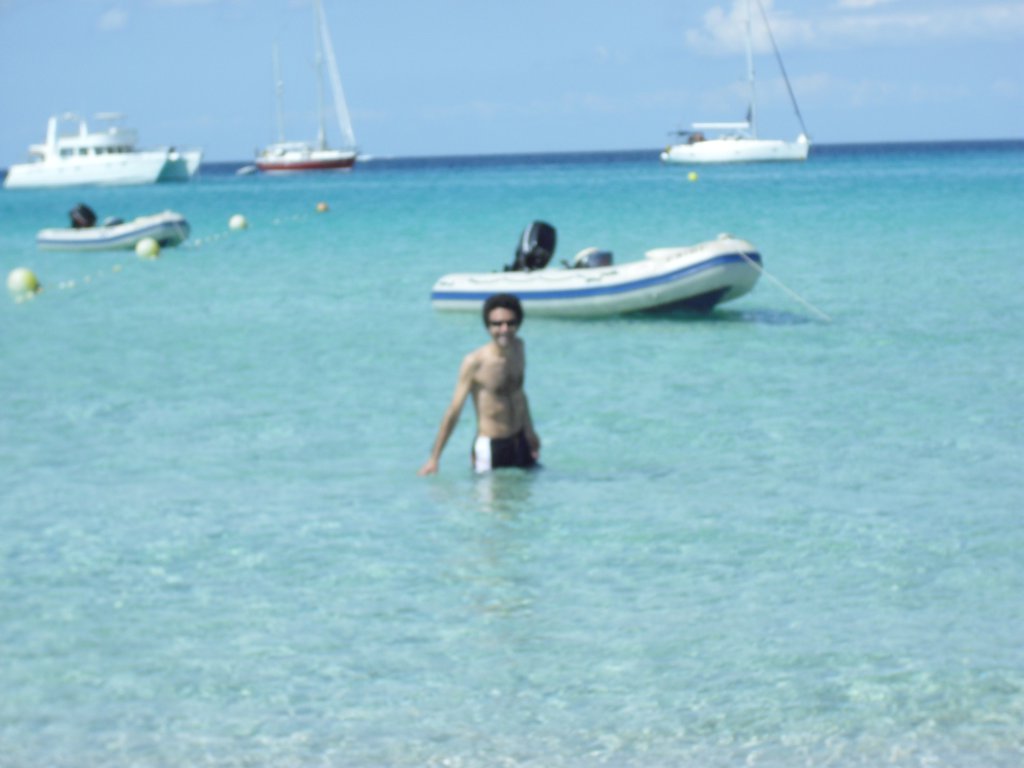 Image cimg0218.jpg