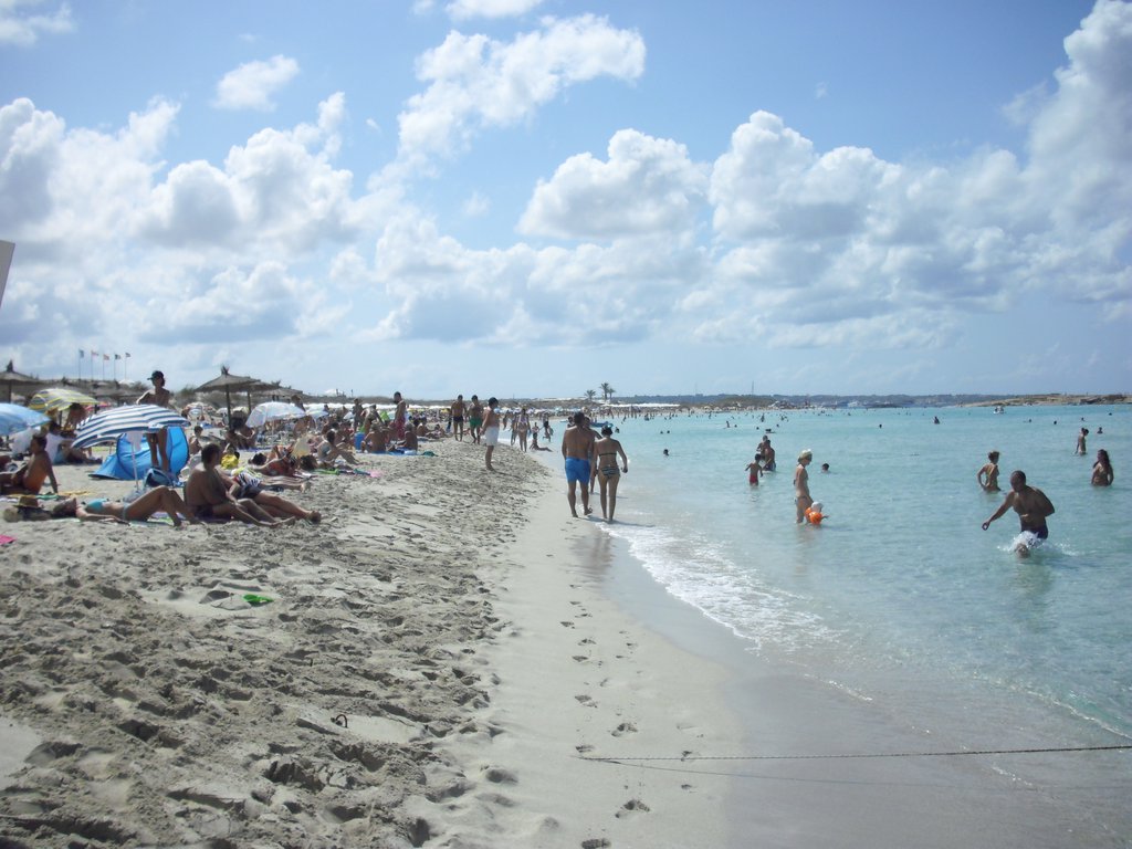 Image cimg0221.jpg