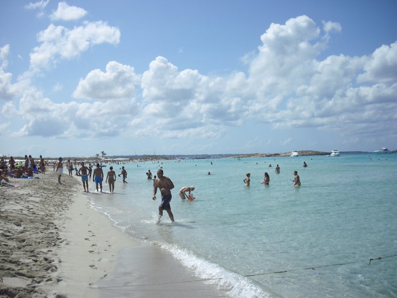 Image cimg0222.jpg